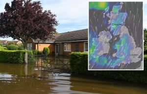 Суперфан Грэггс путешествует по стране, чтобы съесть веганский рулет с колбасой в каждой пекарне